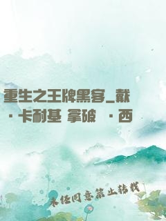 重生之王牌黑客